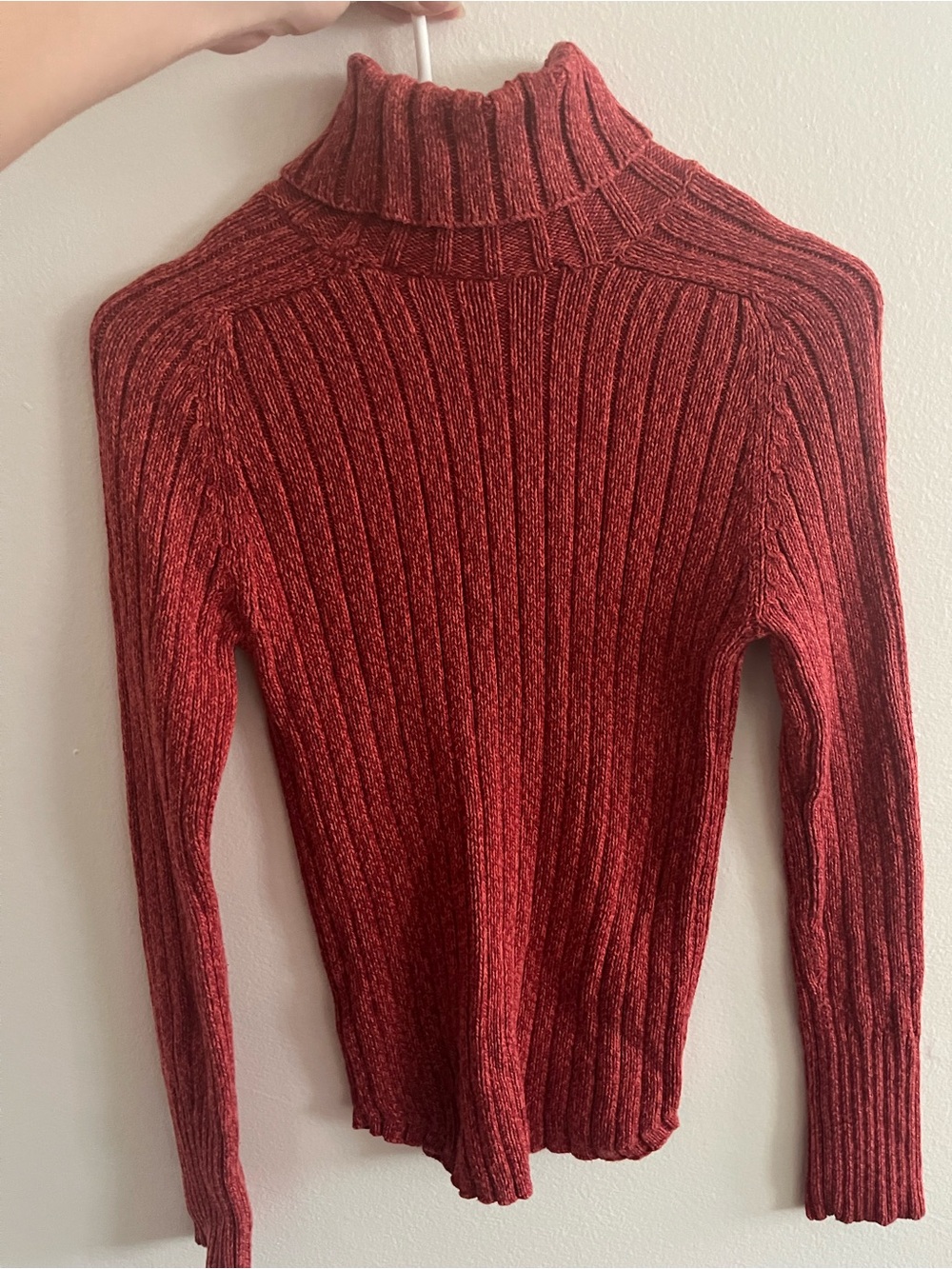 Arizona Jean Company Red Ribbed Turtleneck Sweater